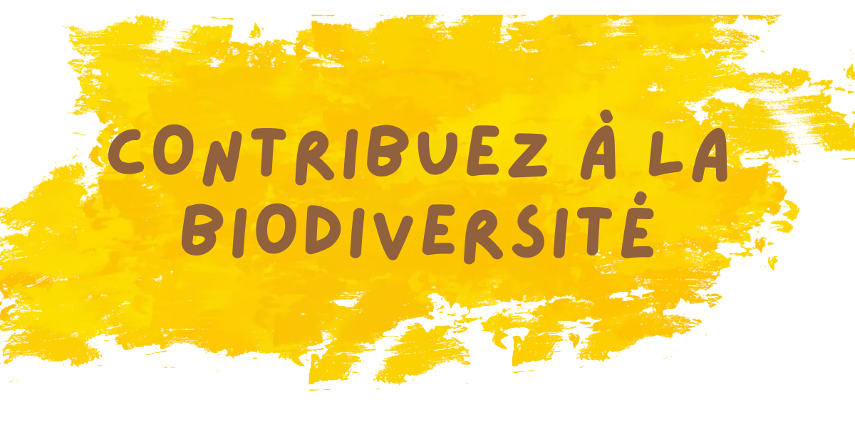 Contribuez à la biodiversité